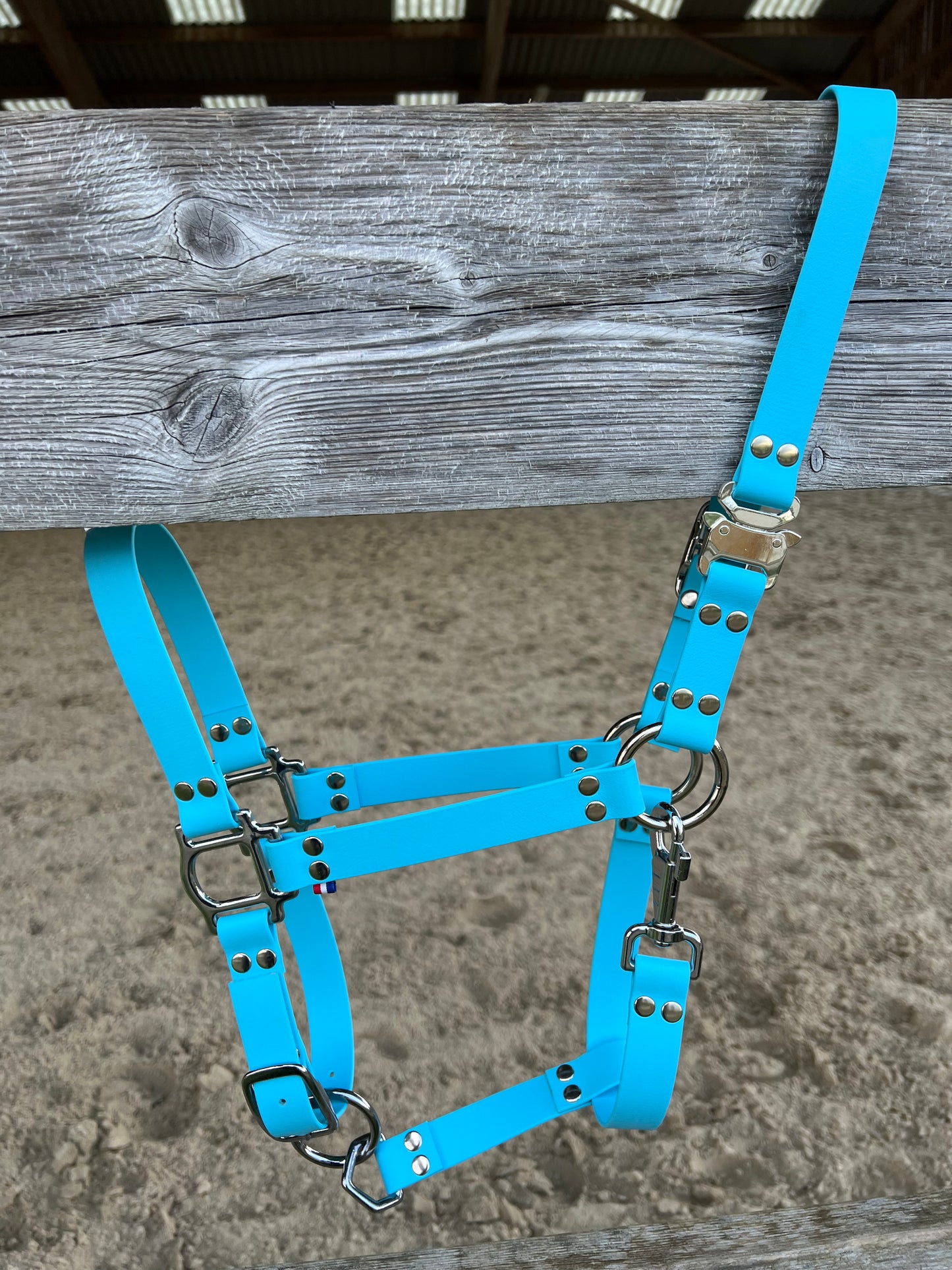 Licol Safe Lock Bleu Ciel