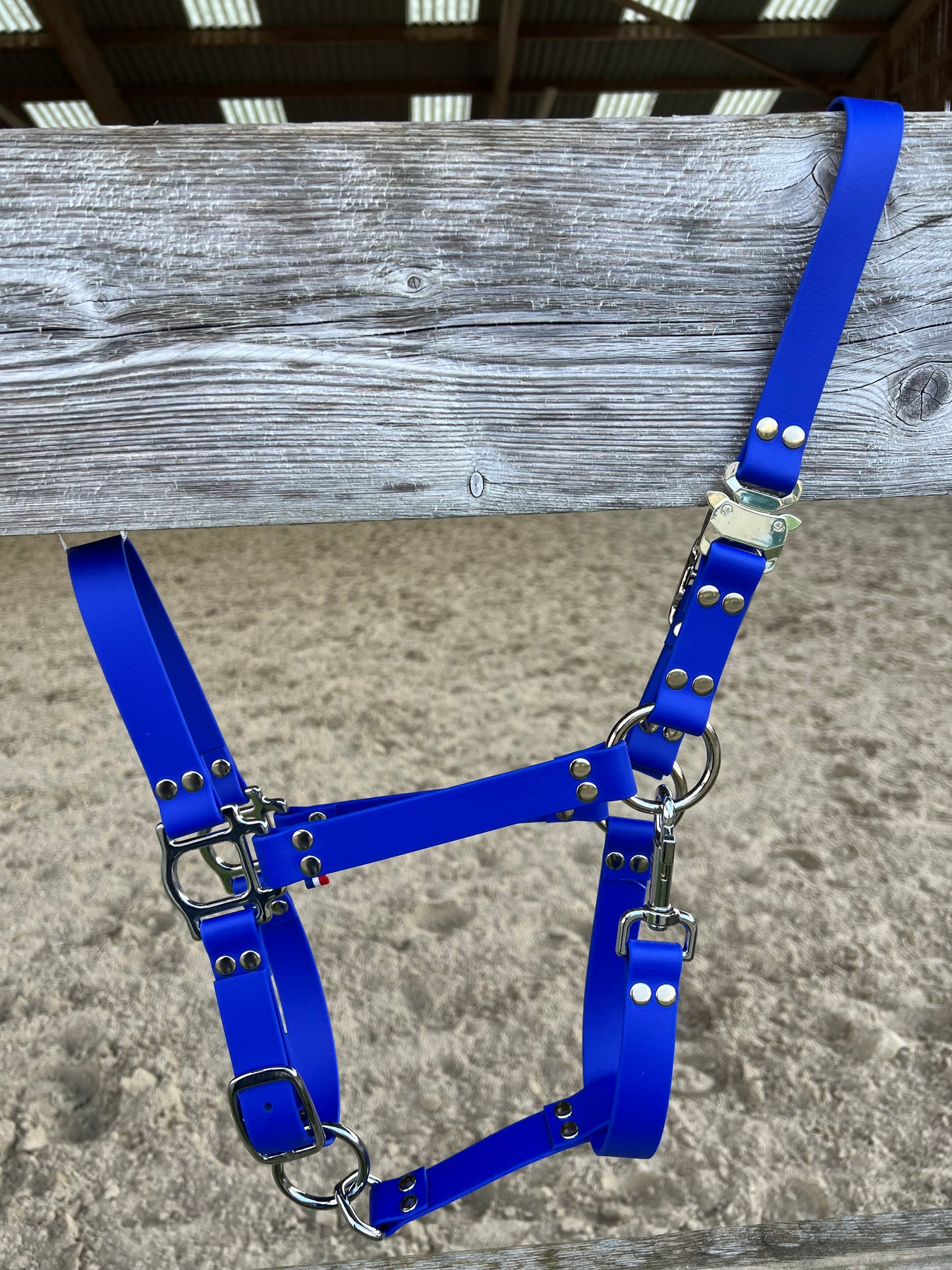 Licol Safe Lock Bleu Roi