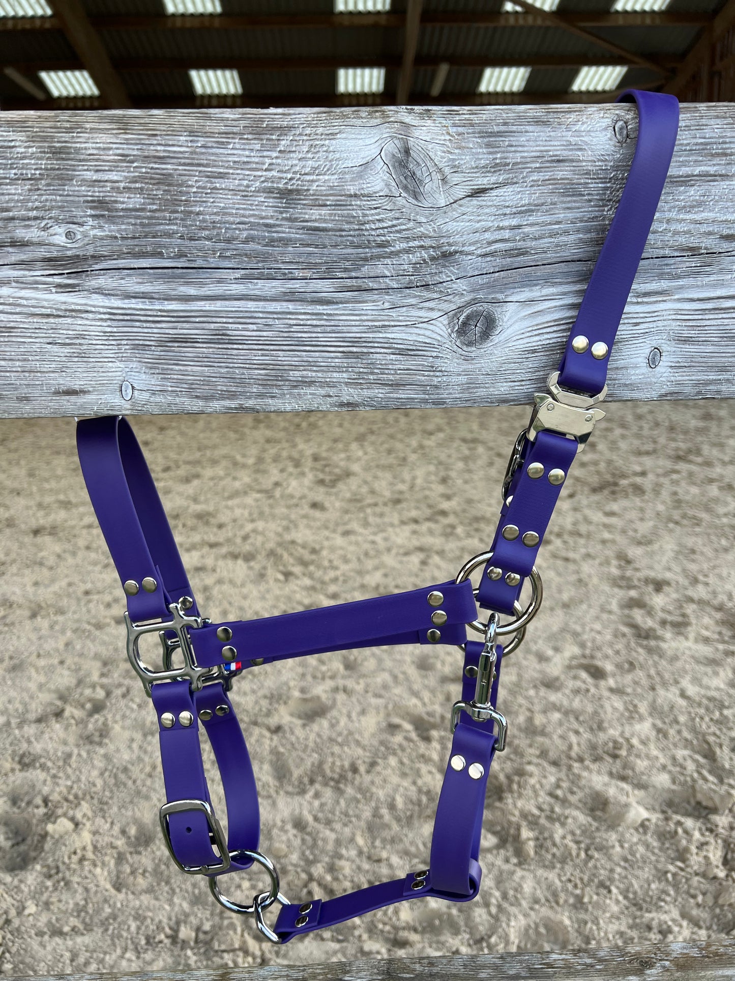 Licol Safe Lock Violet