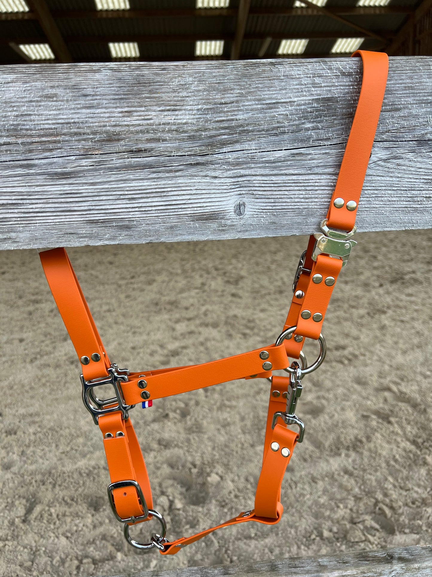 Licol Safe Lock Orange