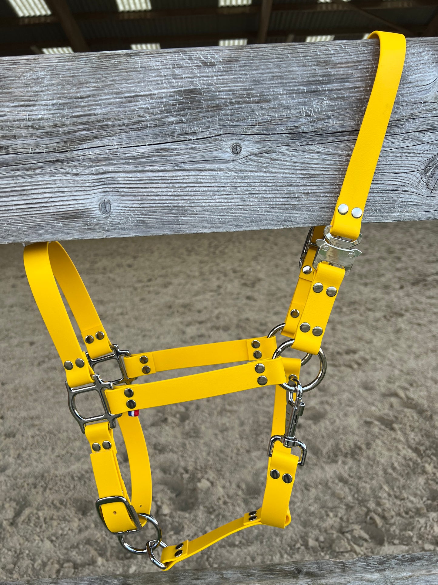 Licol Safe Lock Jaune