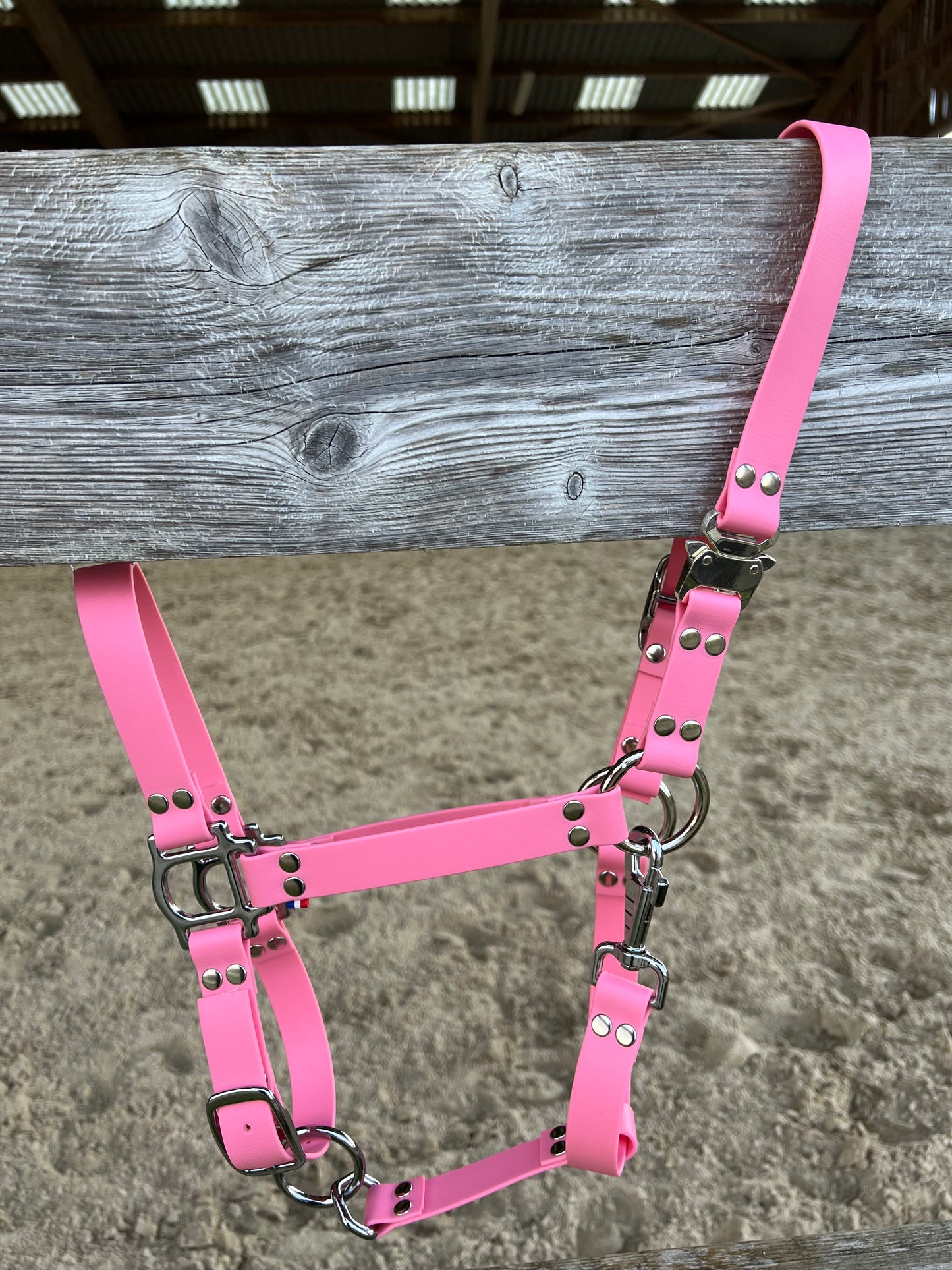 Licol Safe Lock Rose