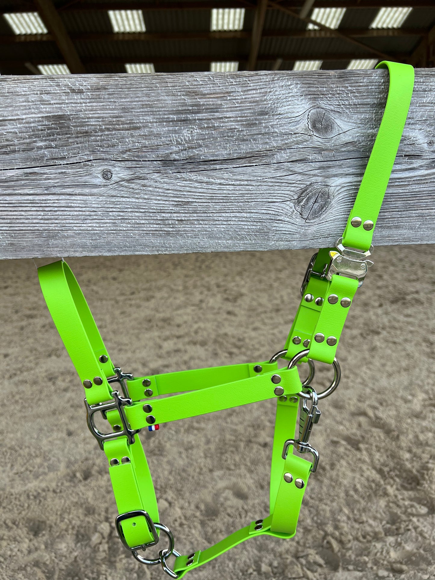 Licol Safe Lock Vert