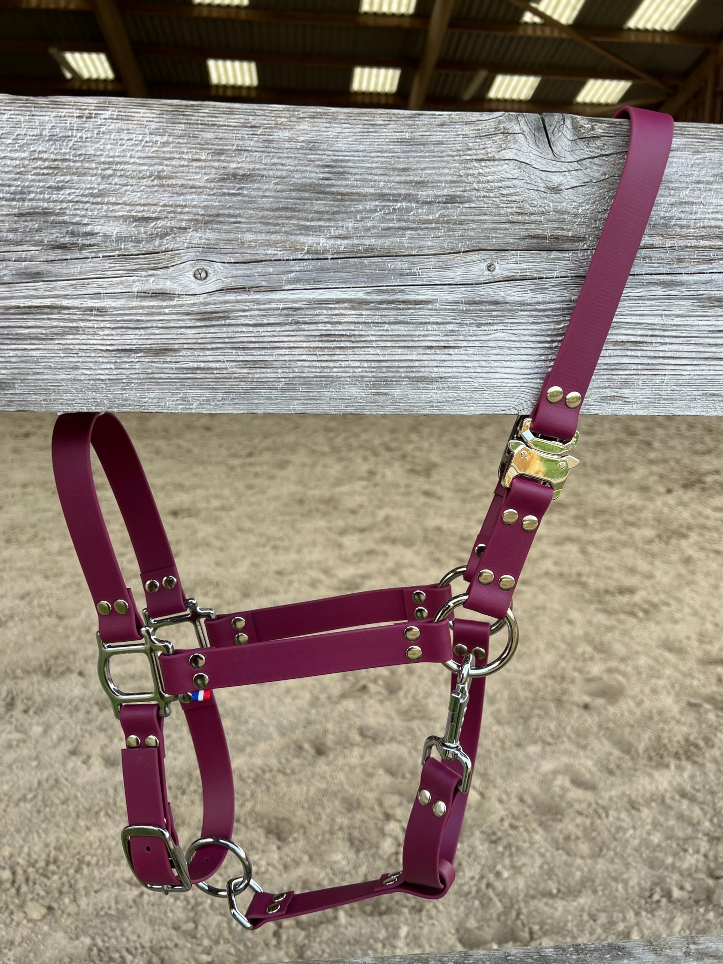 Licol Safe Lock Bordeaux