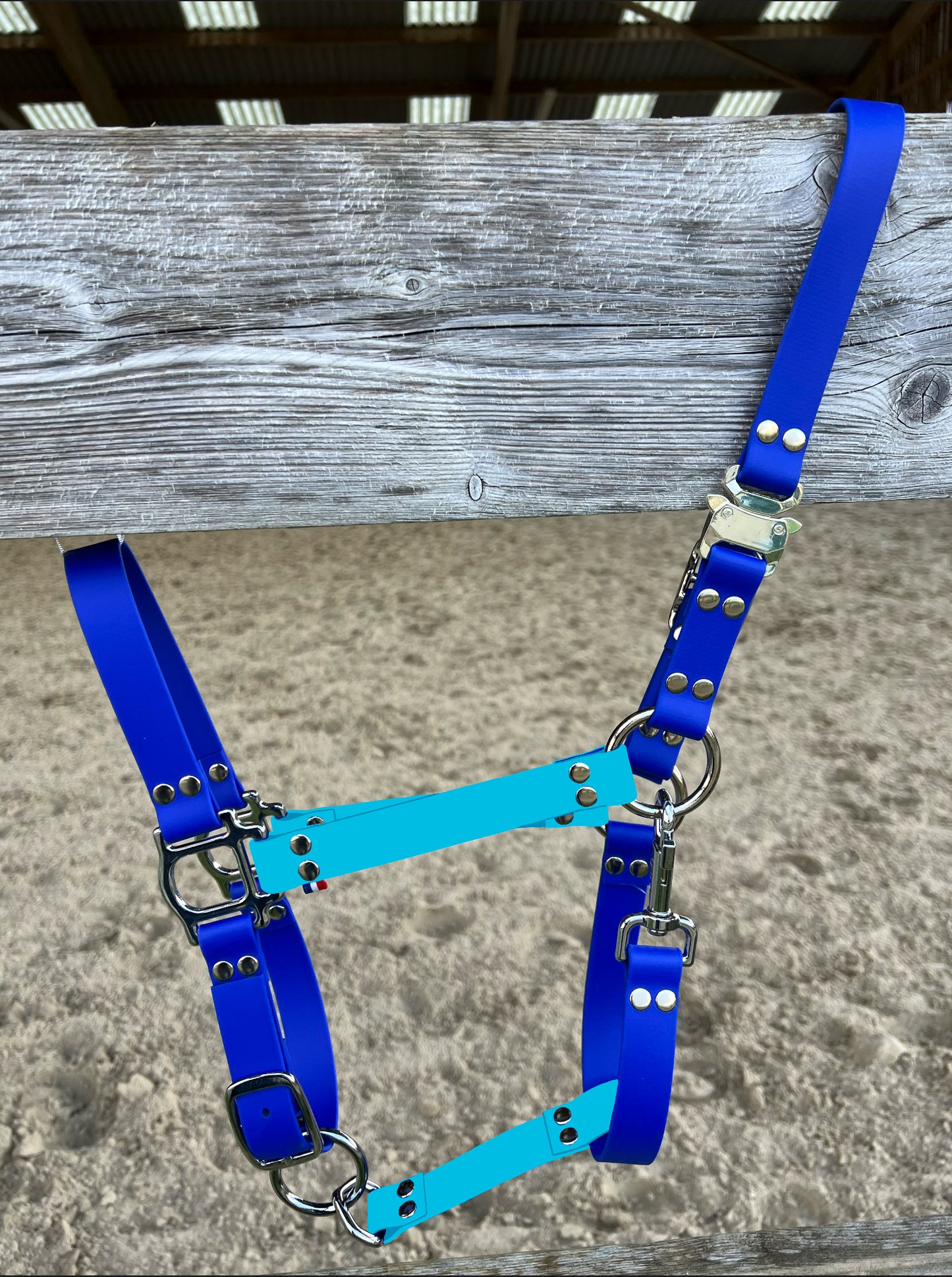 Licol Safe Lock Multicolore