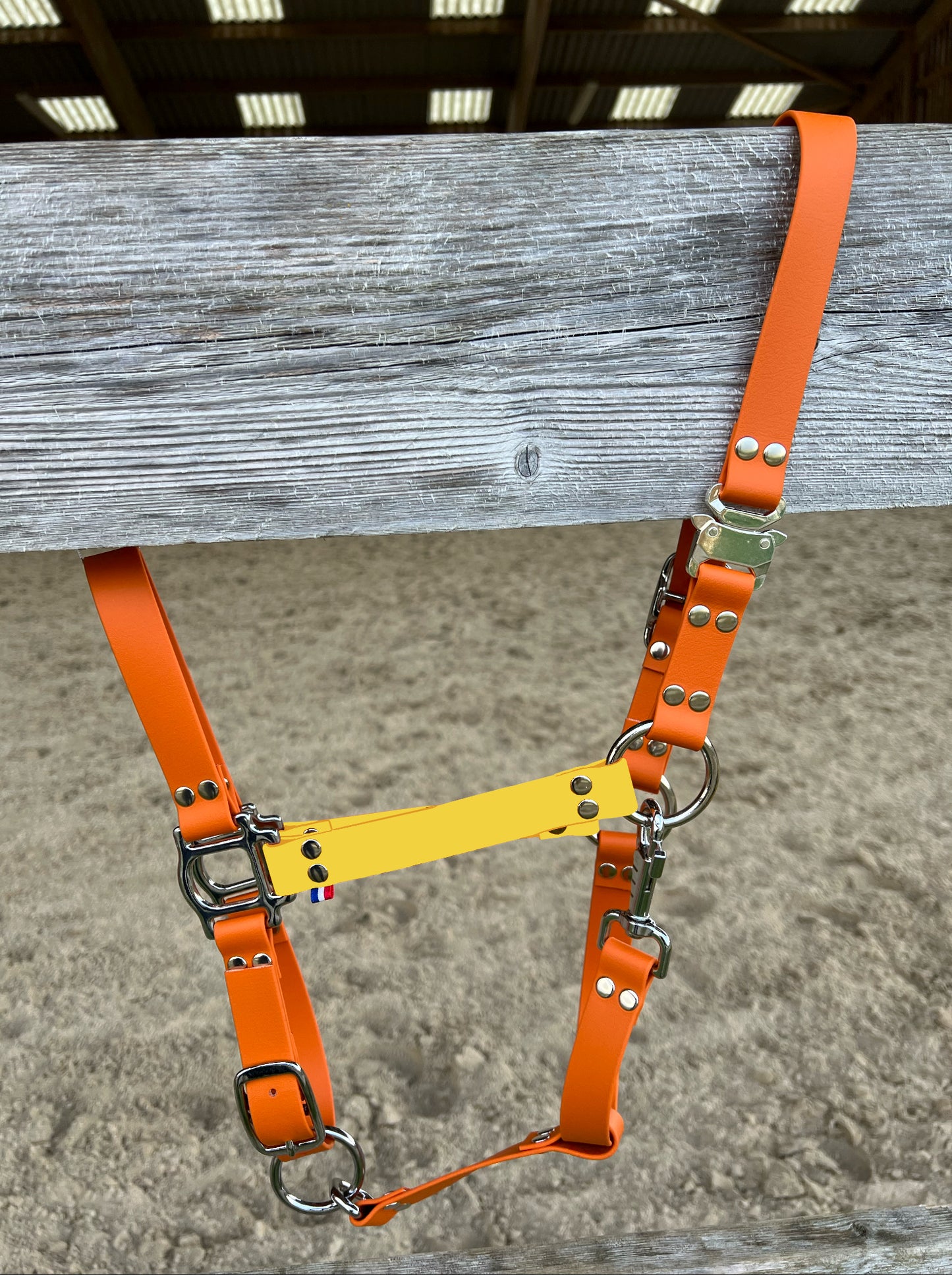 Licol Safe Lock Multicolore