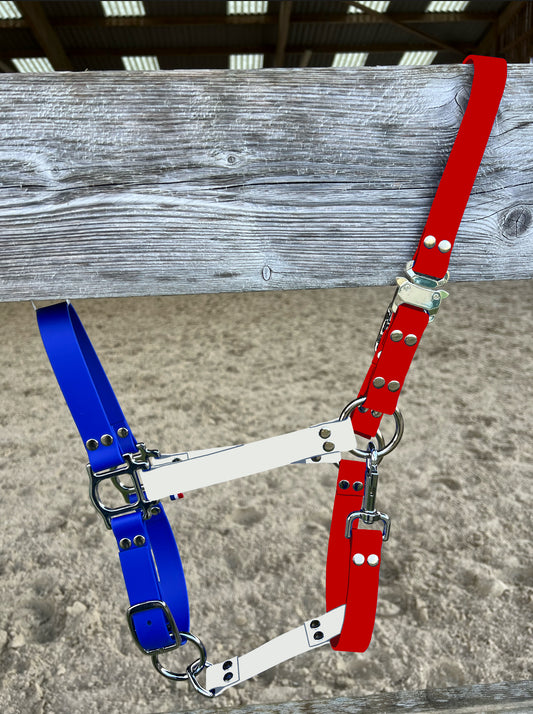 Licol Safe Lock Multicolore